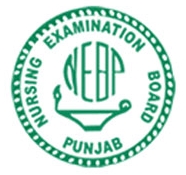 Punjab Nursing Examination Board NEBP Result 2023 Check