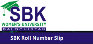 SBK Roll Number Slip 2023 Sindh Education Jobs
