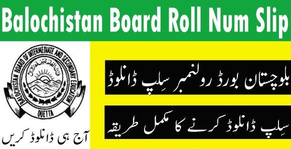 Balochistan Board Roll Number Slip 2023 Download